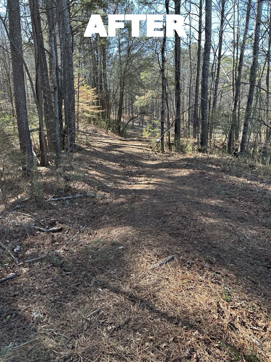 After - land completely cleared of dumped tires